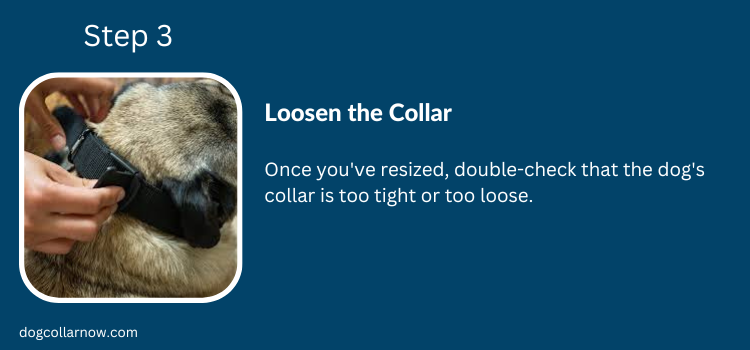 How to loosen a dog collar - Step 3 - Loosen the Collar