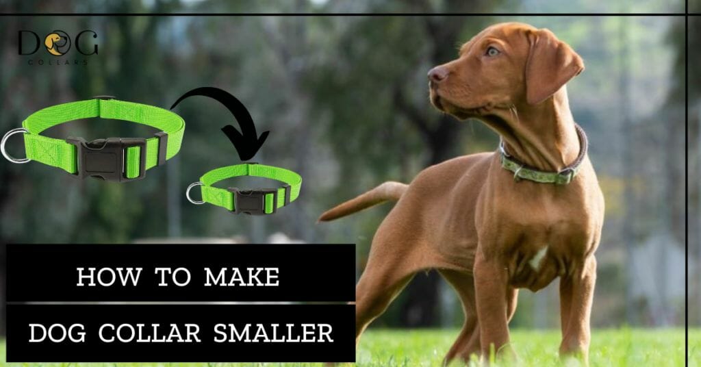 How To Make Dog Collar Smaller
