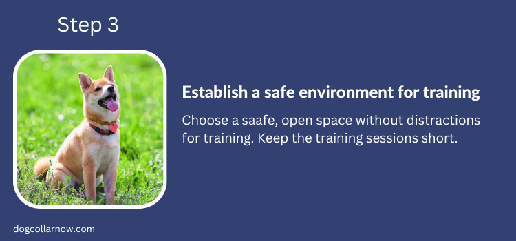 Step 3-Establish a safe environment for training-How to train dog off leash with shock collar