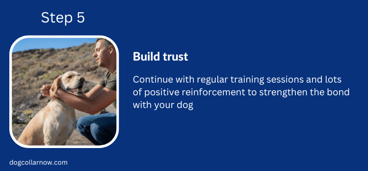 Step 5-Build Trust-How to train dog off leash with shock collar