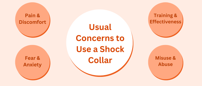 Usual Concerns to use a shock Collar