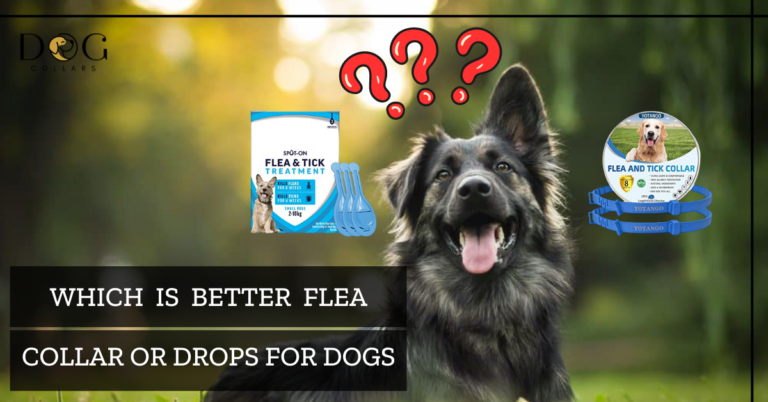 Which is better flea collar or drops for dogs