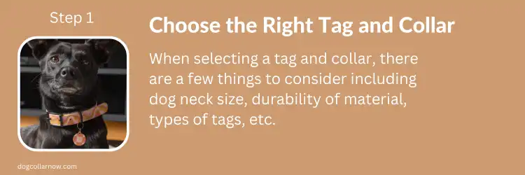 How to Put Tag on Dog Collar - Step 1 - Choose the right tag and Collar