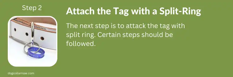 How to Put Tag on Dog Collar - Step 2 - Attach the tag with a split ring