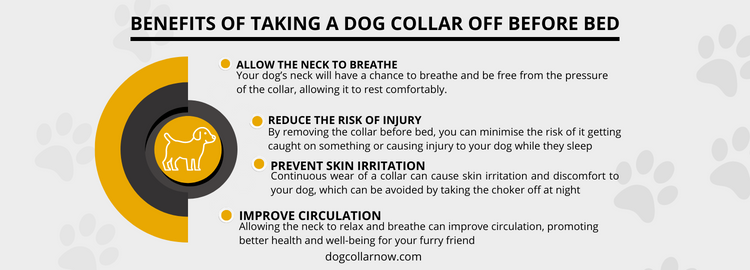 Benefits of taking a dog collar off before bed - dog collar now