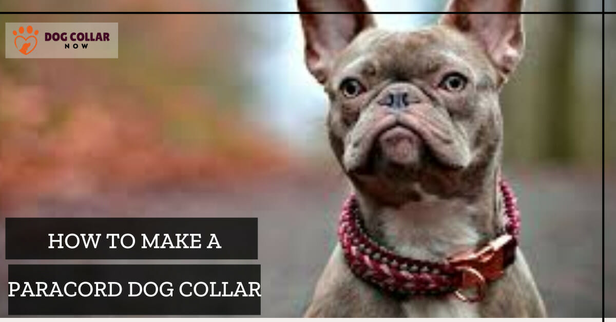 how to make a paracord dog collar
