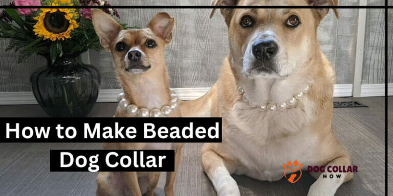 How to Make Beaded Dog Collar – 7 Effortless Procedures