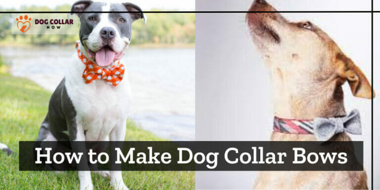How to Make Dog Collar Bows – 6 Easy Steps