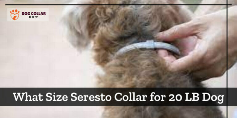 What Size Seresto Collar for 20 LB Dog – Optimal Sizing