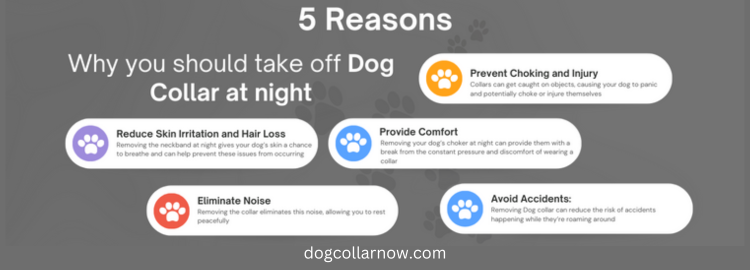 5 reasons why you should take off dog collar at night - dogcollarnow