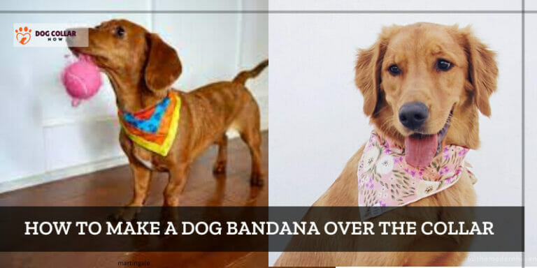 How to Make a Dog Bandana Over the Collar – 8 Easy Steps
