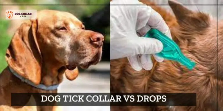 Dog Tick Collar Vs Drops – Decoding the Epic Clash