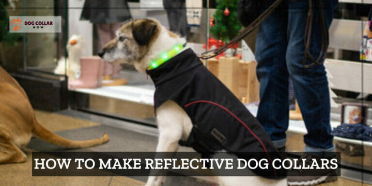 How To Make Reflective Dog Collars – 9 Easy Measures