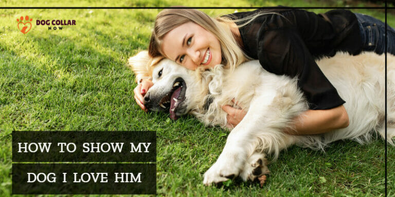 How To Show My Dog I Love Him – 6 Ways to Show Affection