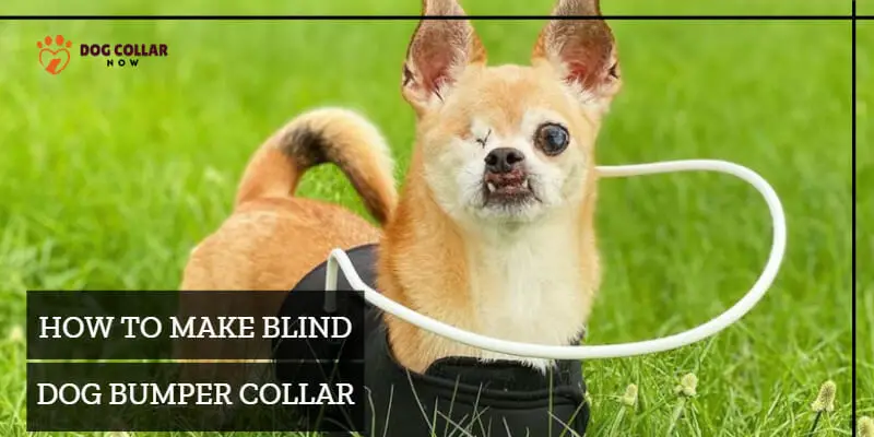 How to make blind dog bumper collar