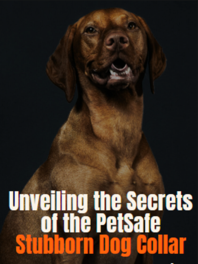 Unveiling the Secrets of the PetSafe Stubborn Dog Collar: 15 Lesser-Known Facts That Will Leave You Amazed